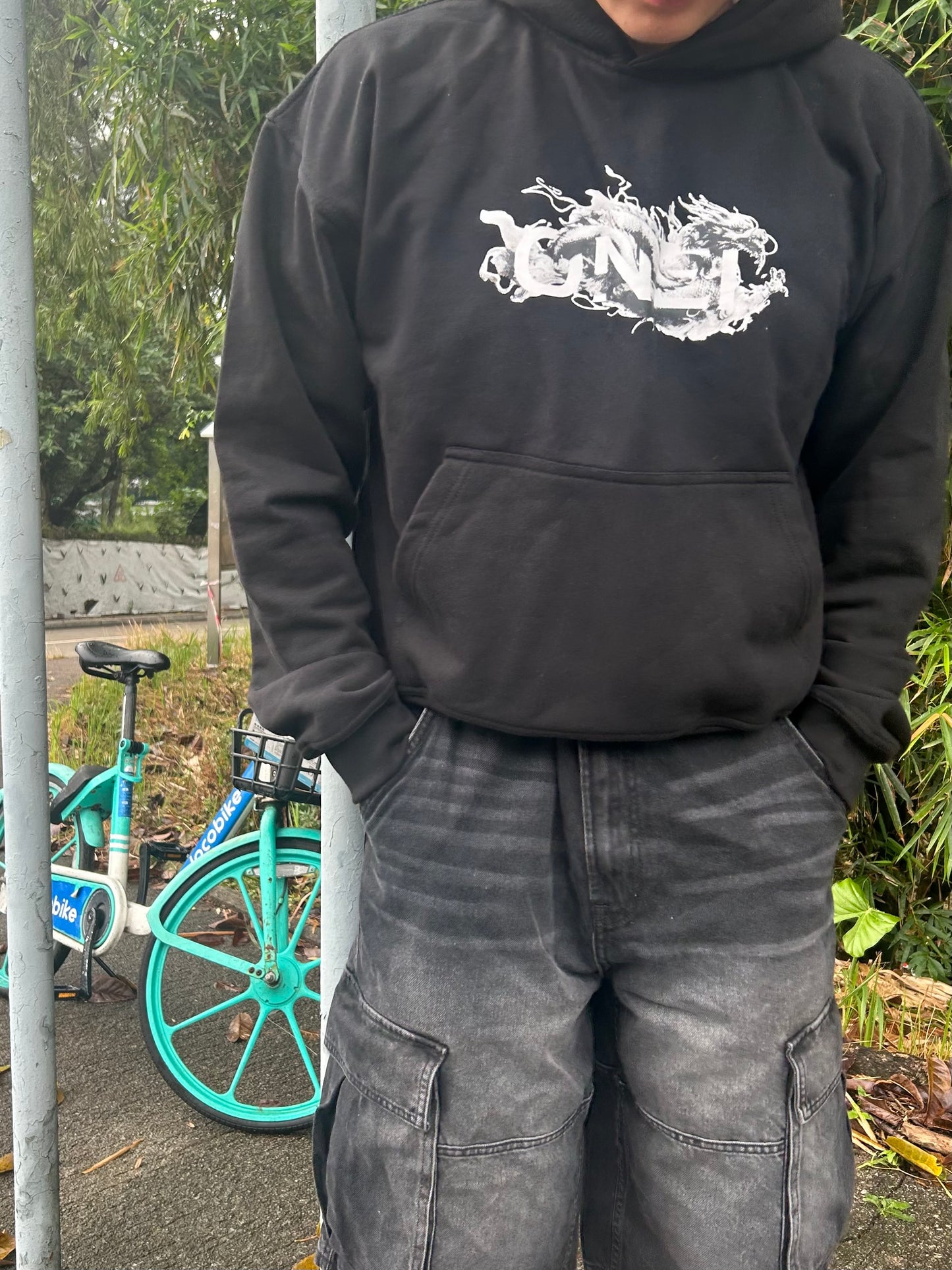 Dragon Hoodie